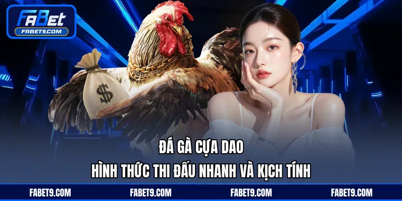 Đá Gà Cựa Dao - Hình Thức Thi Đấu Nhanh Và Kịch Tính