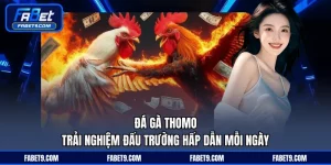 Đá Gà Thomo - Trải Nghiệm Đấu Trường Hấp Dẫn Mỗi Ngày