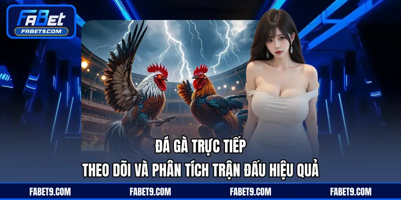 Đá Gà Trực Tiếp - Theo Dõi Và Phân Tích Trận Đấu Hiệu Quả