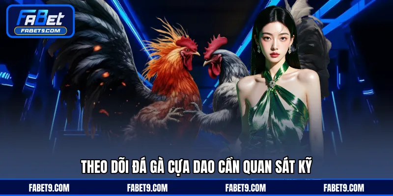 Theo dõi đá gà cựa dao cần quan sát kỹ